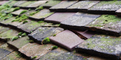 Stonehaven roof repair costs